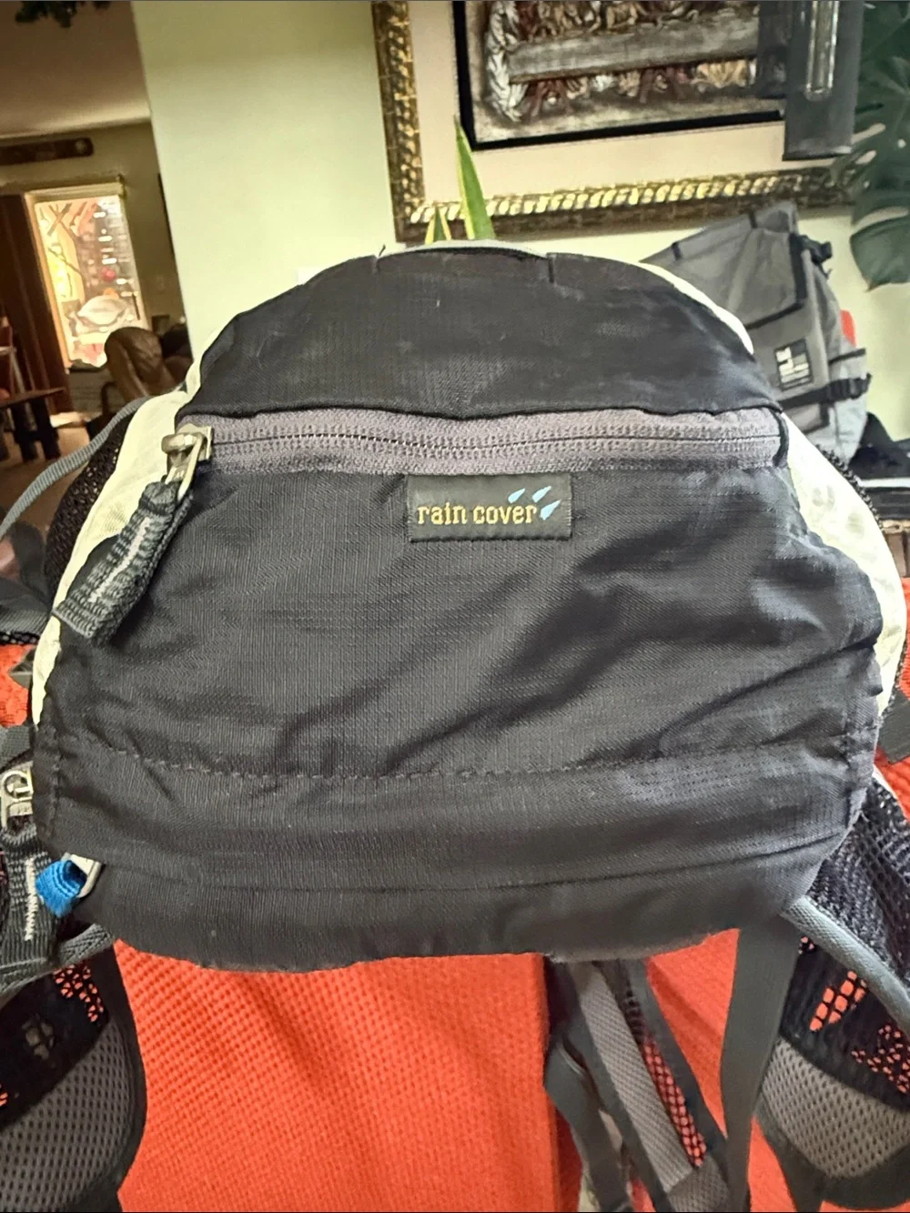 Deuter Compact  12 biking and multi-use backpack